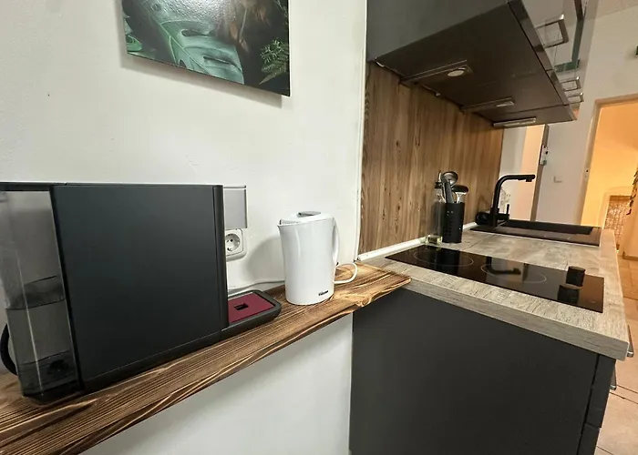 Lägenhet Honor - Urban Neu Renoviert Linz