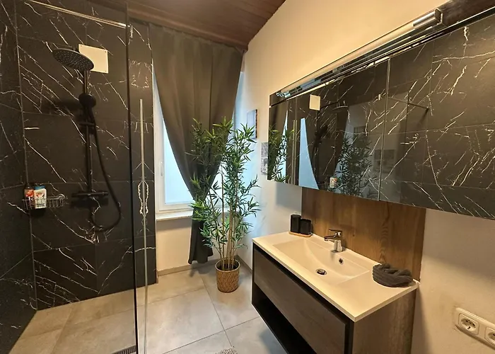 Apartment Honor - Urban Neu Renoviert Linz